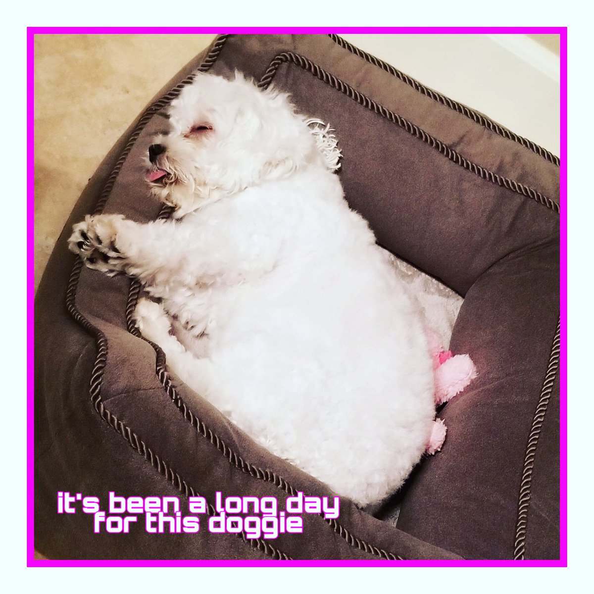 anitabeatpmc's tweet photo. Babii #CocoNutChanelRyan https://t.co/5eJoJ5fyQZ