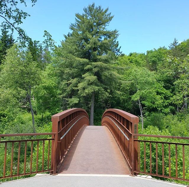 nugrocery's tweet photo. Clue #2 for our #NUGuessingGame! π
Win one of ten $25 gift cards by guessing the #NU2 location!
- Write your guess in the comments below
- Tag a friend
- Retweet our Sunday announcement
Third clue tomorrow! π https://t.co/AG3uURiDJ2