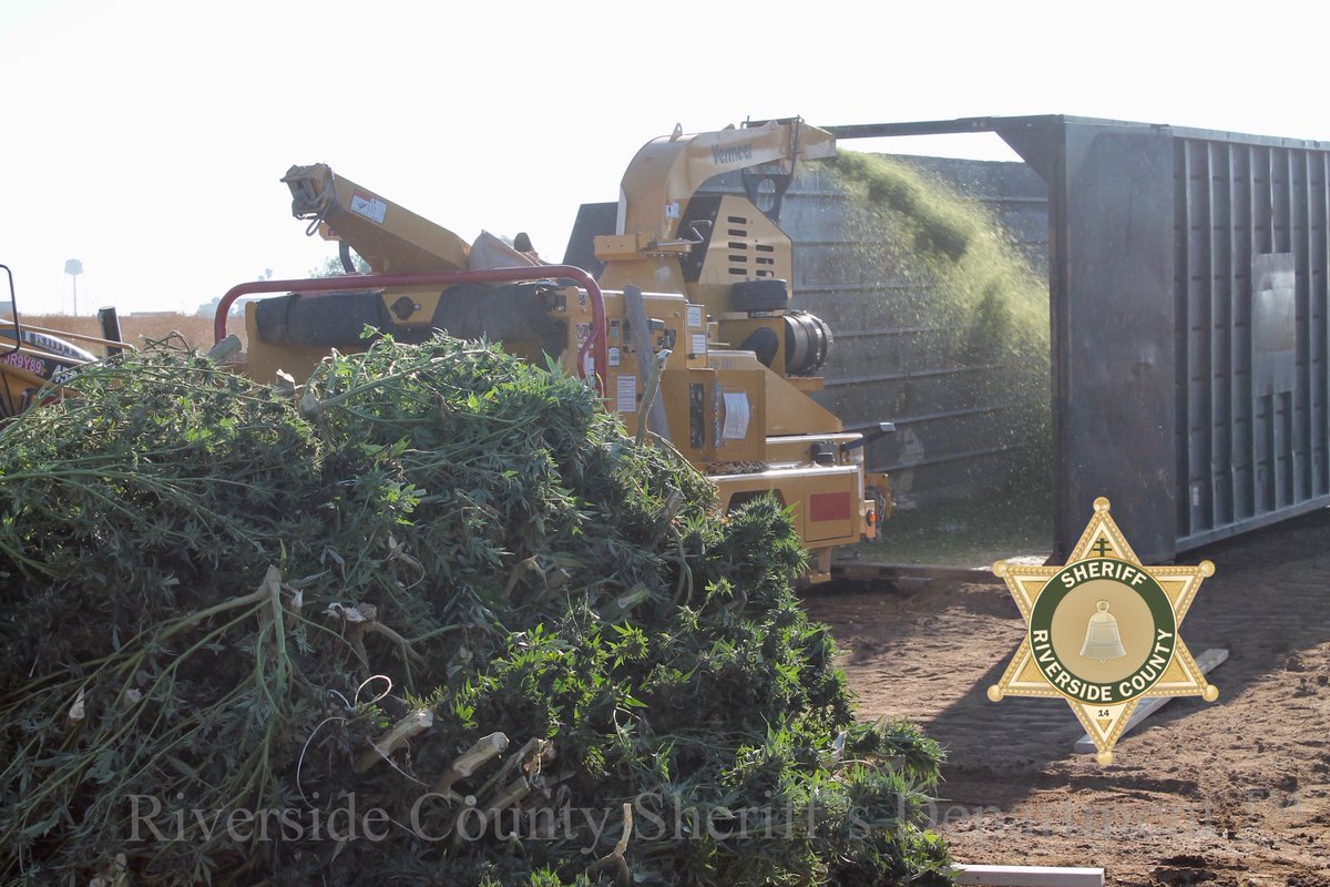 RSO's tweet photo. Perris area 🌿 Heavy police activity throughout the Perris area today. There is no threat to public safety.
#MarijuanaEradication
***MEDIA: additional information will be provided via Twitter throughout the day. We have no additional releasable information at this time. https://t.co/NPDbc58FLu