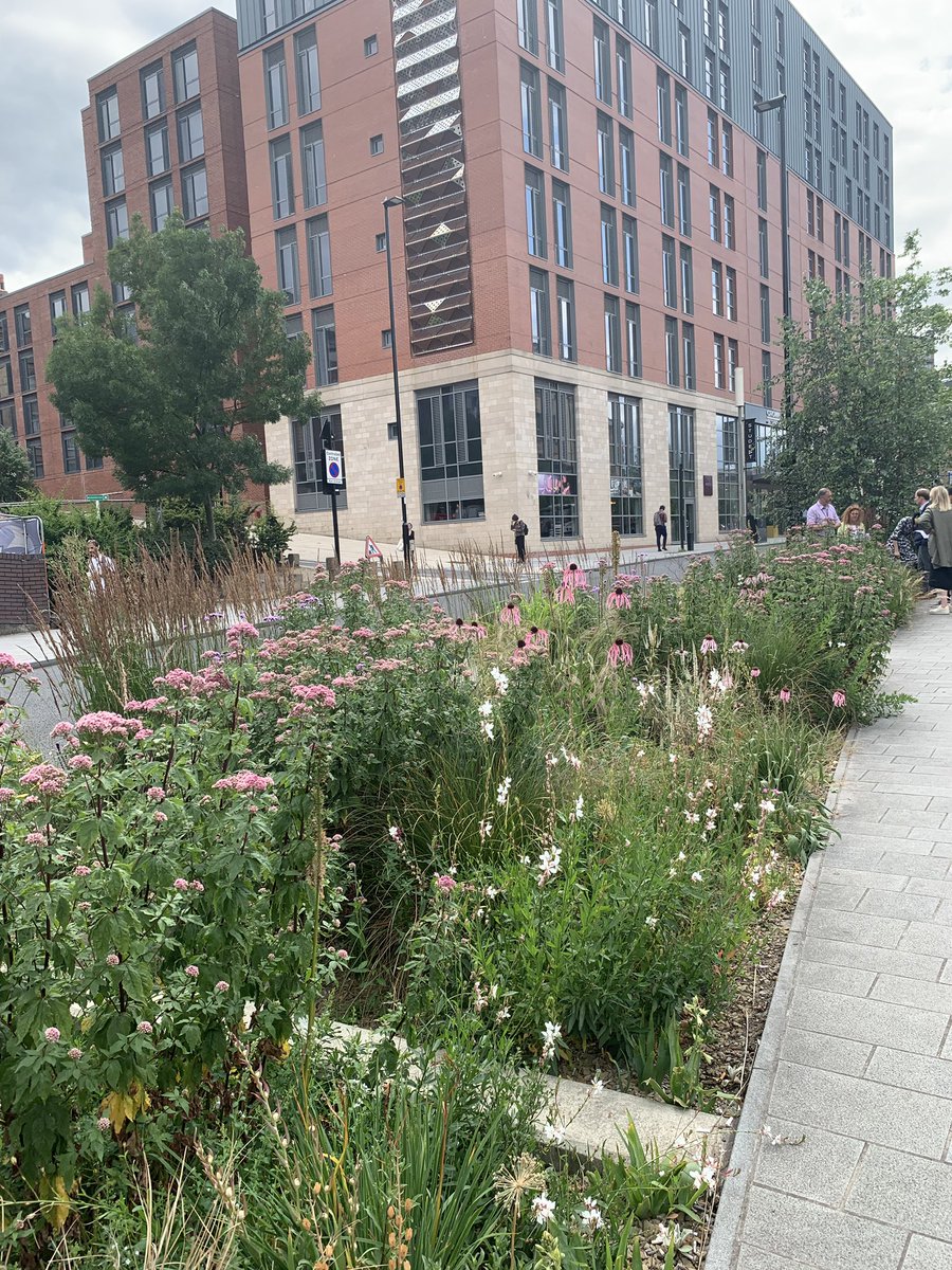Enjoyed our walking tour of #SheffieldCityCouncil’s #GreyToGreen project led by project landscape architects #zactudor & #RogerNowell Very positive #greenInfrastructure news emerging from that city