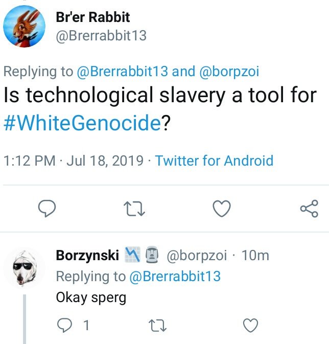 Brerrabbit13's tweet photo. If you care about #WhiteGenocide you're a sperg... #AltRightLogic https://t.co/t7iPJV3sZA