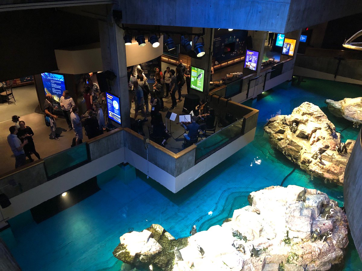 Aquaneering's tweet photo. We hope everyone had a wonderful time at the #ZDM12 Conference Dinner @NEAQ last night!  What a great time and an amazing setting!

@ZDMSociety https://t.co/XCatMOsmO5