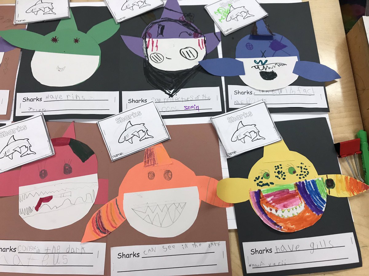Today we learned about sharks. We read about sharks and watched an informational video about sharks. We then brainstormed what sharks ‘can, are and have’ before choosing one thing we learned and making these awesome sharks