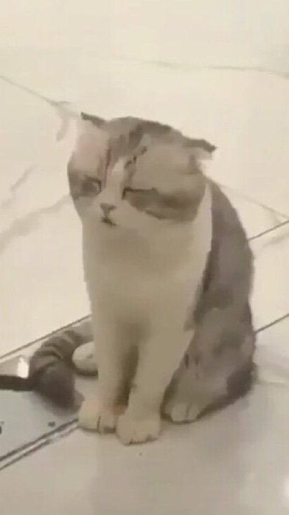 Ternyata masih banyak yang main twitter ya? Saya yang ketinggalan apa gimana?