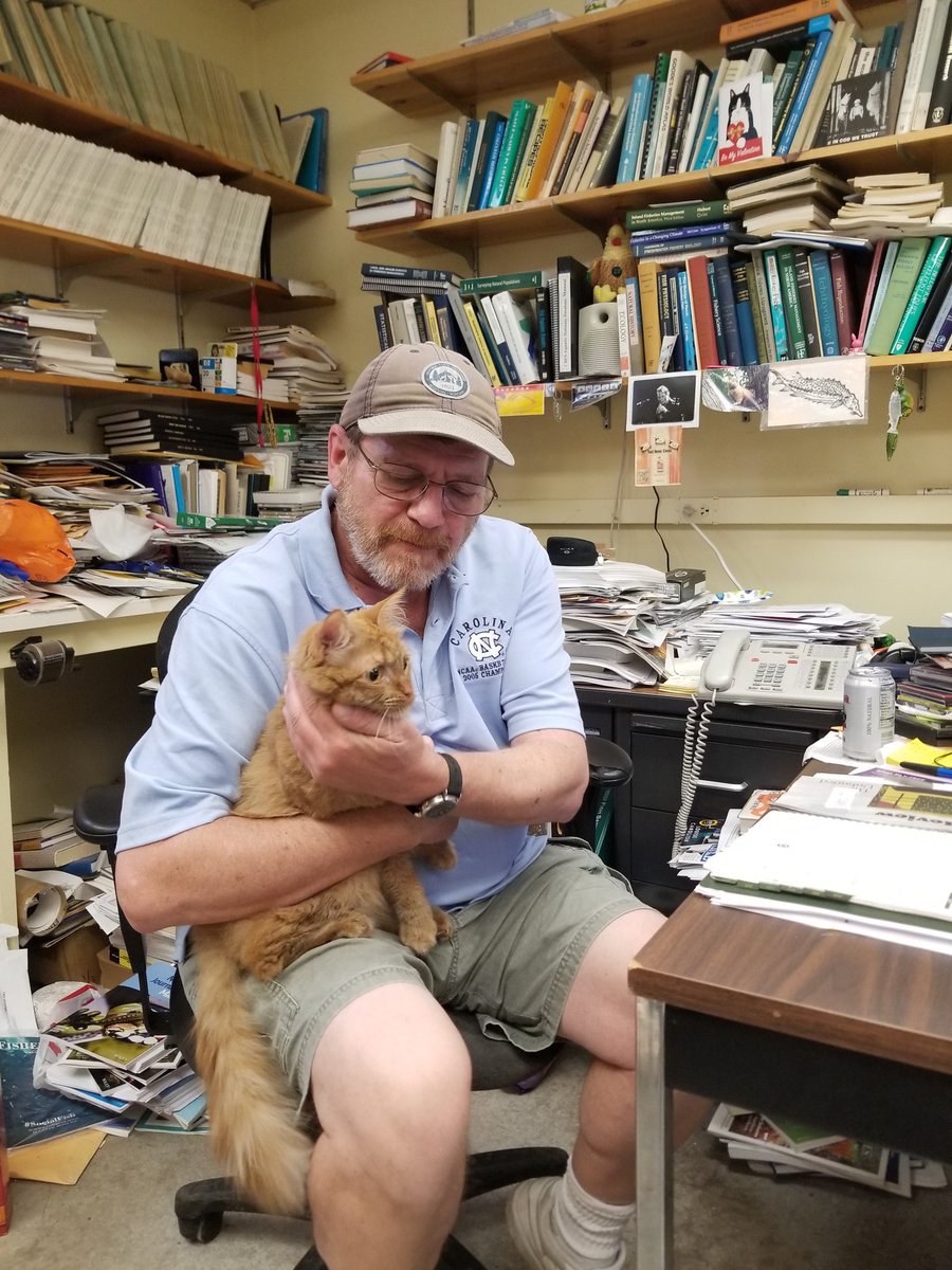 snapsthecat's tweet photo. Helping Randy Jackson at @CBFS_Shackelton with some office work! https://t.co/PtnSSHE4jr