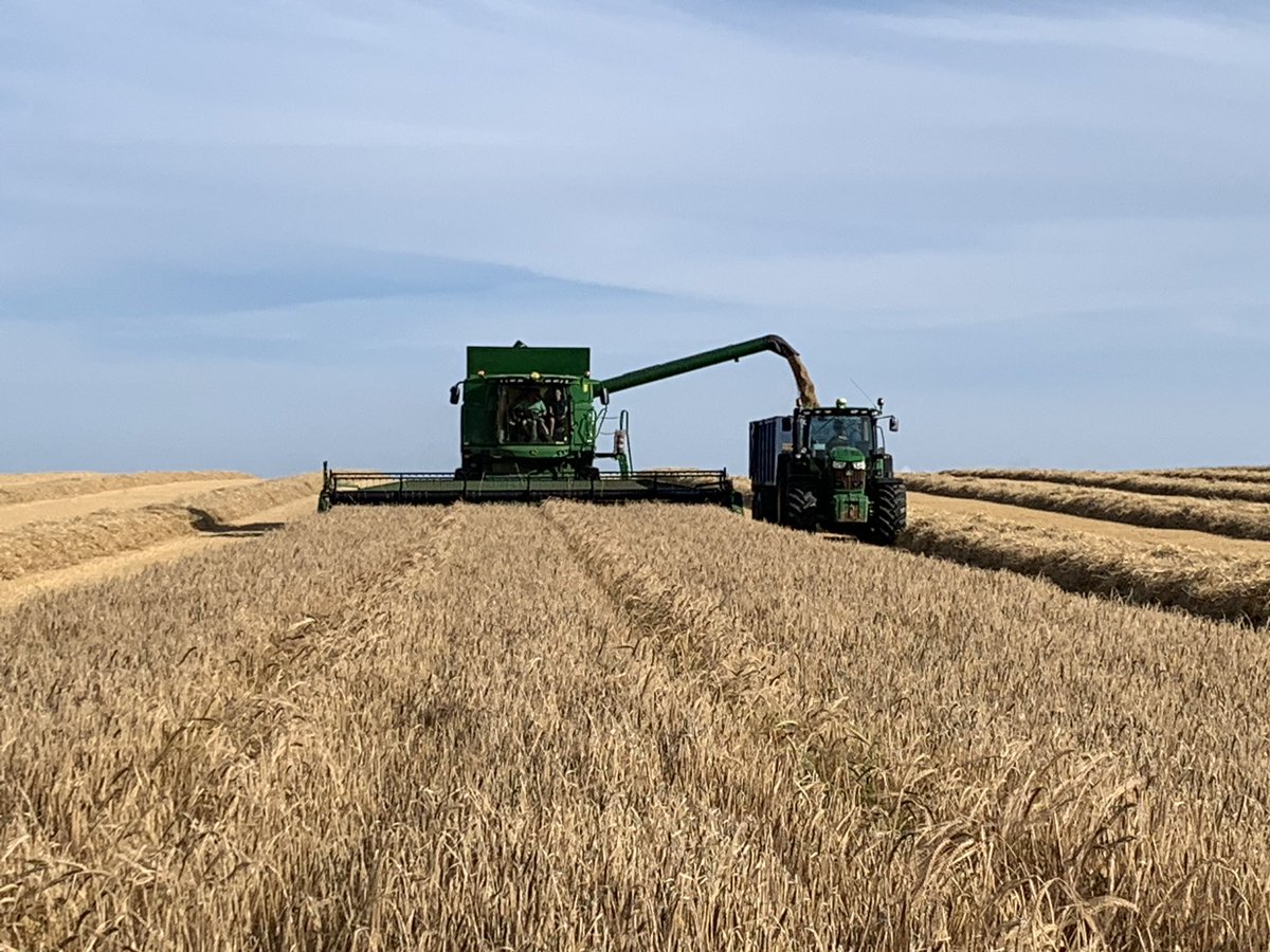 Combing Maris otter barley in beautiful #pembrokeshire with @Ellen_R_Raymond carting @PaulraymondT @meurigraymond #shewhodaresfarms #harvest19