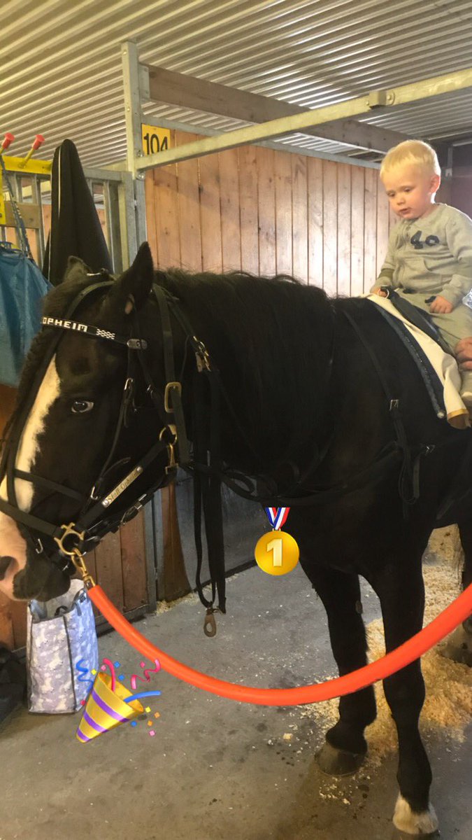krialm's tweet photo. Endelig satt den for kongen - 3 år siden sist 😎 #kodran #stallopheim https://t.co/3pa2GkO7o8
