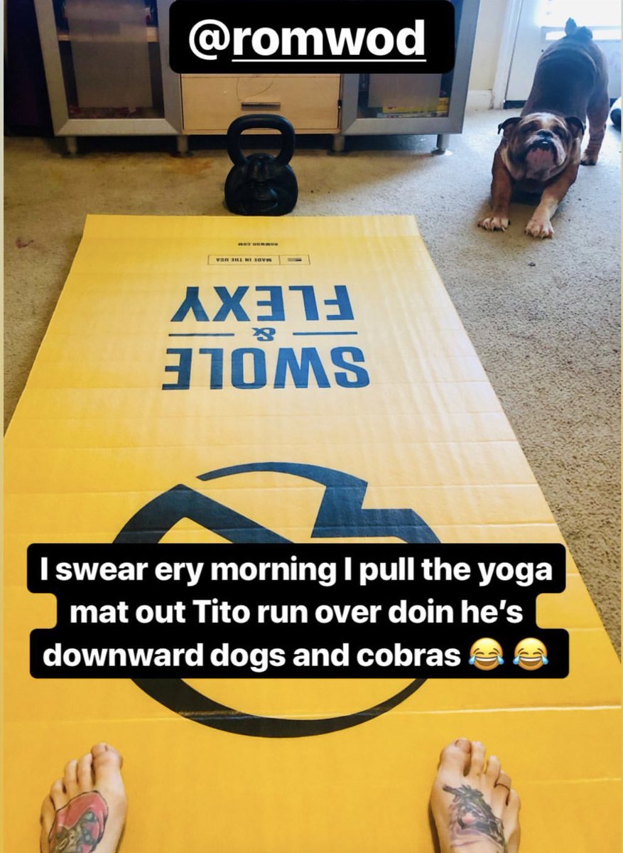pliability_'s tweet photo. That’s a good #ROMdog. 🐶

#romwod https://t.co/ie8RHhU0RW