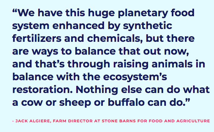 Can Meat Actually Save the Planet? <a href="/HuffPost/">HuffPost</a> <a href="/StoneBarns/">Stone Barns Center</a> bit.ly/2JHnIPT