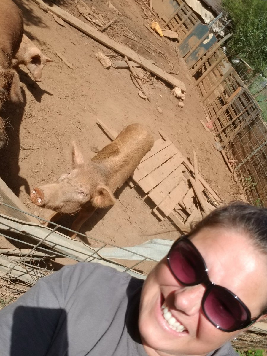 momof5crawfords's tweet photo. At the Zoo! (A petting zoo with pigs, chickens, goats and rabbits!)
#hfemiway
#hfsummerselfiechallenge https://t.co/jPFuIvvKgQ