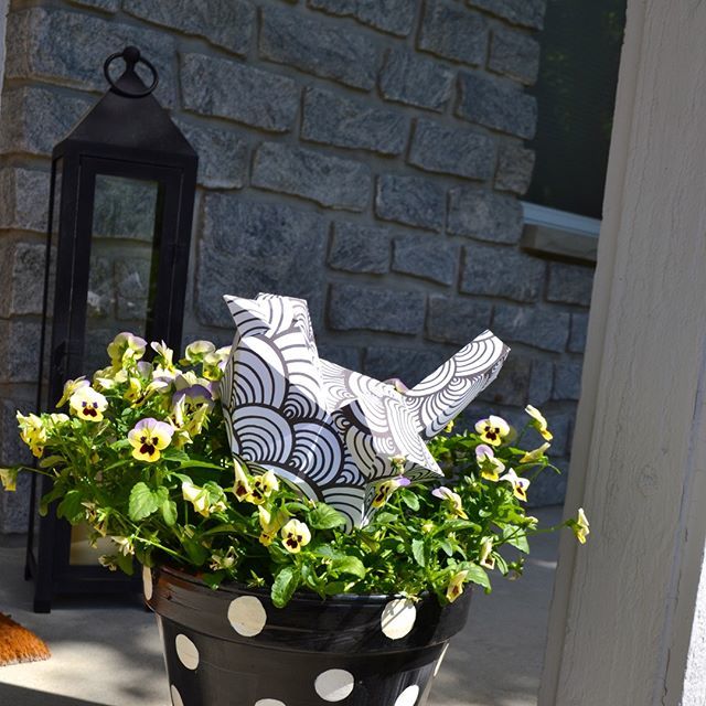 residentdesign's tweet photo. Join Lilly the Bird on her day out basking in the sun! https://t.co/y6dzL3aLhE
