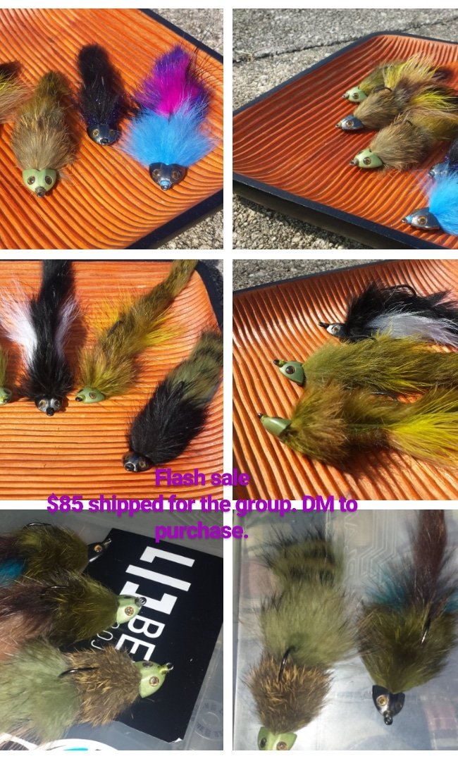 TackleModZ tweet media