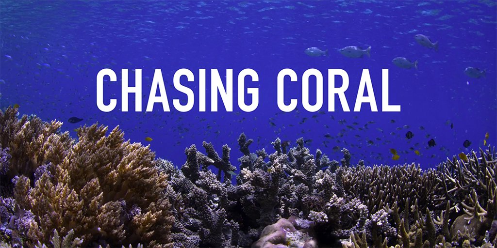 Free film tonight: Chasing Coral, part of our Deep Blue Sea Film Series. Divers, photographers and scientists set out on an ocean adventure to discover why coral reefs are disappearing. 7pm. Sponsored by #UGA Parents Leadership Council.