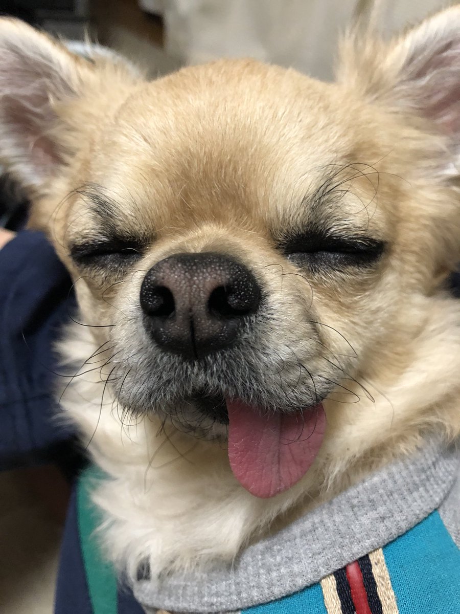 ケツコイン(JK20) tweet media