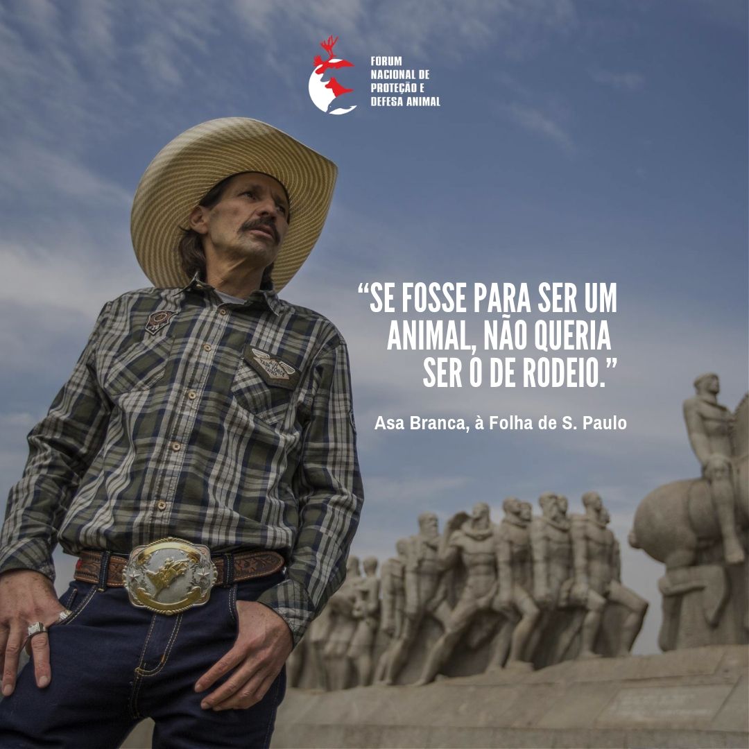 forumanimal's tweet photo. Até Asa Branca, um dos maiores locutores de rodeio, já admitiu: “Se fosse para ser um animal, não queria ser de rodeio”. Ajude a acabar com essa crueldade: https://t.co/sgEKJ2mncB.
Foto: Marlene Bérgamo/Folha de S. Paulo
#VaquejadaNão #ForumAnimal #OdeioRodeio #OdeioVaquejada https://t.co/O9fQBVCNfF