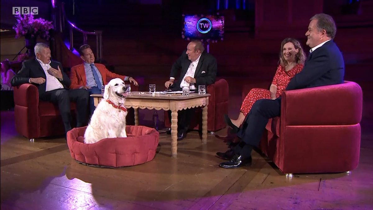 MatthewRimmer's tweet image. Molly the dog! The hero we deserved!

#MollyTheDog #bbctw @bbcthisweek #ThisWeek