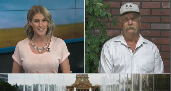 CheSkulskiCTV's tweet image. NDP's #Bill6 was met w/ protests from ag community in 2016, now UCP are reviewing the law, consulting with farmers/industry to create the Farm Freedom &amp;amp; Safety Act, but not all farmers want change- more at 6 @ABPrimetime