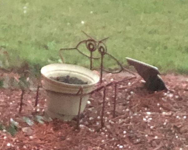 wtocjamie's tweet photo. Through a screen door, but that's the #hail in #Brooklet from Chastity Crabb. @NWSCharlestonSC https://t.co/xRJ7YIsHxd