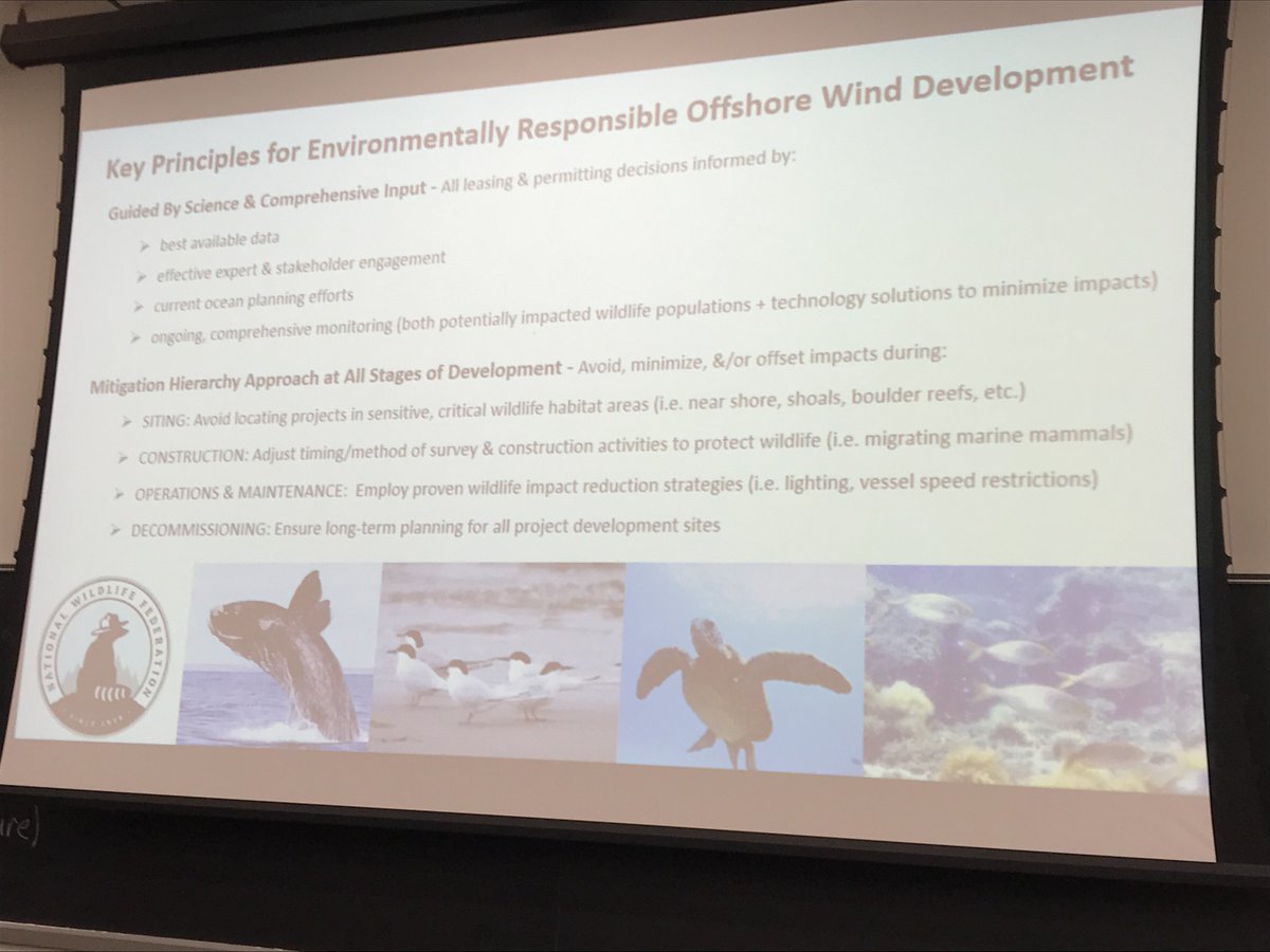 Key principles for responsible offshore wind energy development. #NJWind, thanks to <a href="/NWF/">National Wildlife Federation</a> for this info!