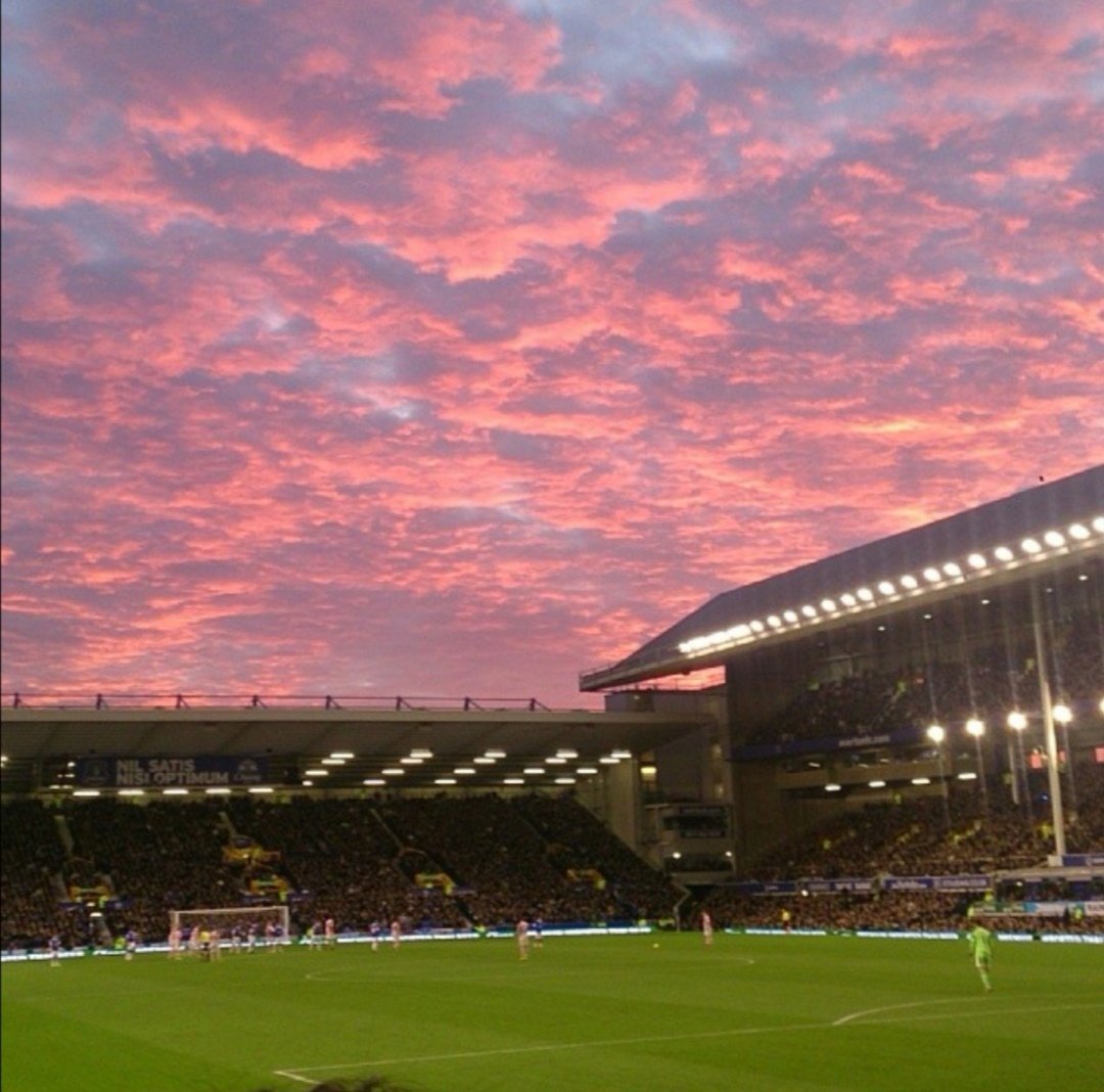 𝔻𝕒𝕫 𝔼𝔽ℂ tweet media