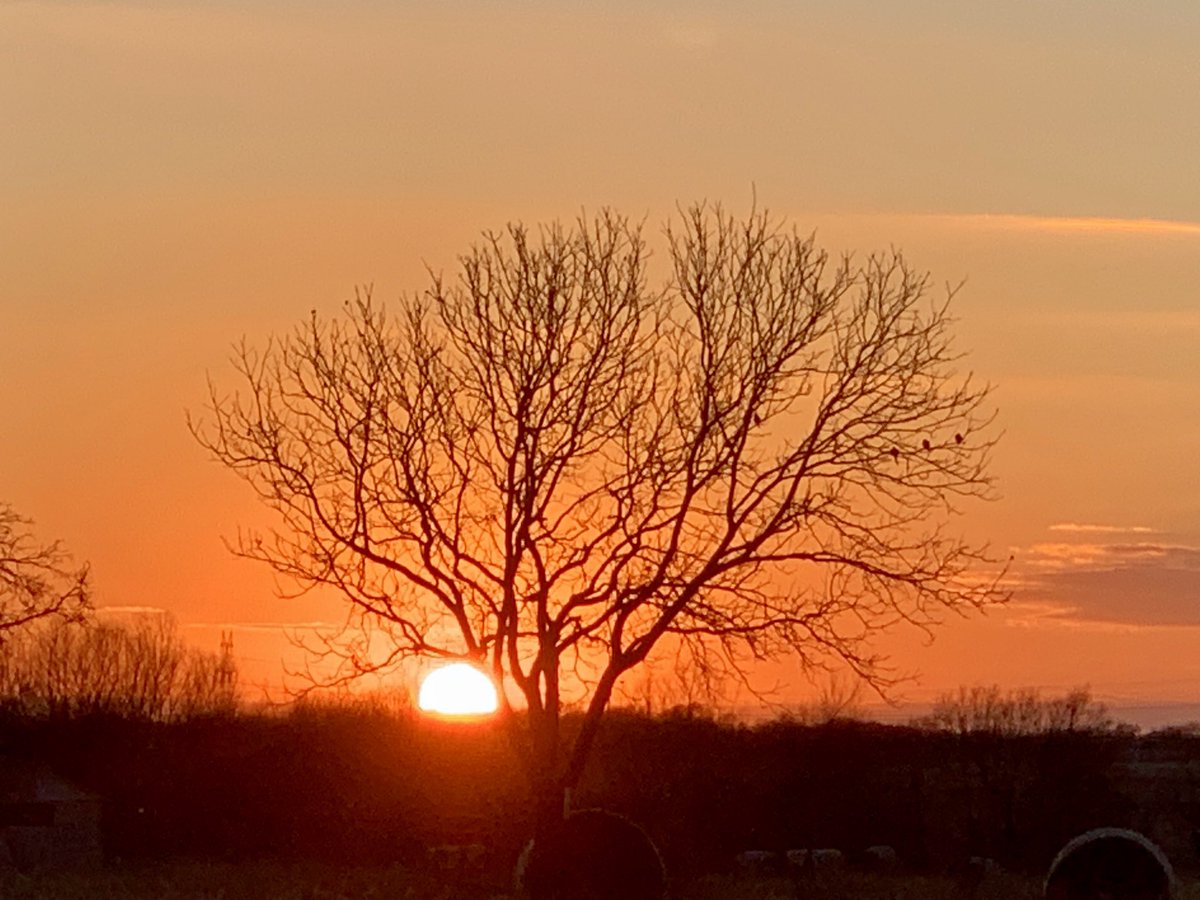 MagnoliaRanchTX's tweet photo. The #sunset @magnoliaranchtx never disappoint!  Come see for yourself!  #texaswedding #texasweddingvenue #ido #ranch #magnolia https://t.co/3naT1pF3MZ