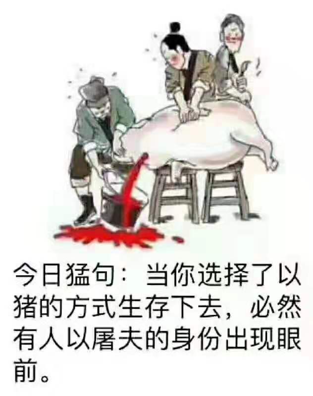 王朔：说中国人是猪，感情上不能接受，可他妈的很多事一直都在验证中国