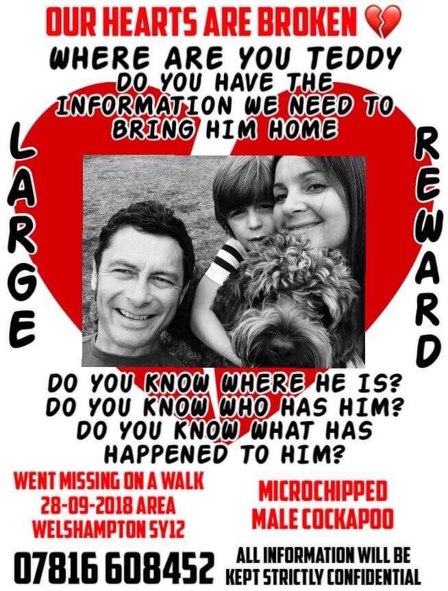 rosieDoc2's tweet photo. ❤️❤️ #HelpBringTeddyHome ❤️❤️
STILL MISSING / STILL LOVED/ STILL SEARCHING & we will not give up TEDDY WE ARE COMING FOR YOU - stay safe #TeddysArmy #tagthedogteam #pettheft #theftbyfinding
#Welshampton near #Ellesmere #Shropshire 😞😞
https://t.co/DZpjFKE1qN https://t.co/NWVJRGfYZB