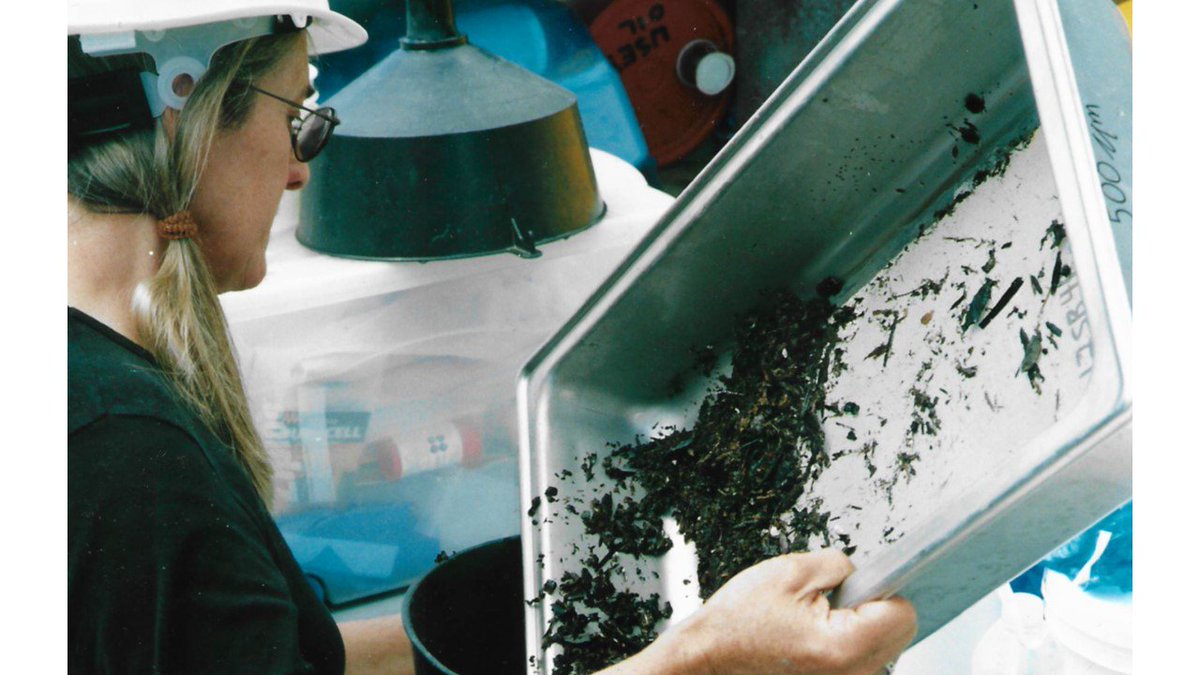 biologicabc's tweet photo. #TBThursday
Val and Phil collecting marine benthic samples back in 2003!
#benthicecology #marinebiology https://t.co/OuBeqCbk4n