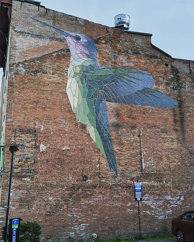 SlaterOnTheMic's tweet photo. Love this mural in Burlington so much. #hummingbird #burlington #burlingtonvermont #mural #streetart #art #buildingmural https://t.co/gv7VjJR668
