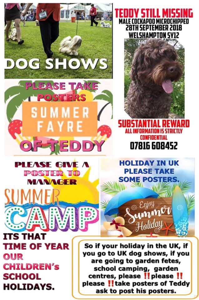 rosieDoc2's tweet photo. #HelpBringTeddyHome ⬇️⬇️⬇️
Missing #Cockerpoo on a walk in #Welshampton nr #Ellesmere
Is ANY1 going to any #dogshows #SummerFairs #foodfest #CAMRABeerfestival PLS TAKE POSTER /pop TEDDYS pic on your phone & 👀/ask ppl WE NEED TEDDY HOME 💔💔💔
https://t.co/DZpjFKE1qN https://t.co/wUPHjXnM3r