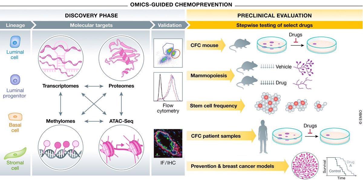 MBPGSA's tweet photo. Congrats Pirashaanthy Tharmapalan and Mathepan Mahendralingam from the @rmkhokha lab for their new paper!
Check it out now: https://t.co/nd3if1J7HG
Good job Pirashaanthy and Mathepan 🥳😄
#breastcancer #cancer #paper #publication #proud #accomplishment #mbp #success #mbpgsa https://t.co/SwWiu4NWVl