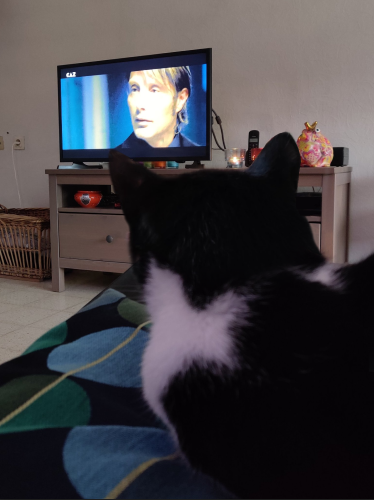 // my cat knows what the fuck is up