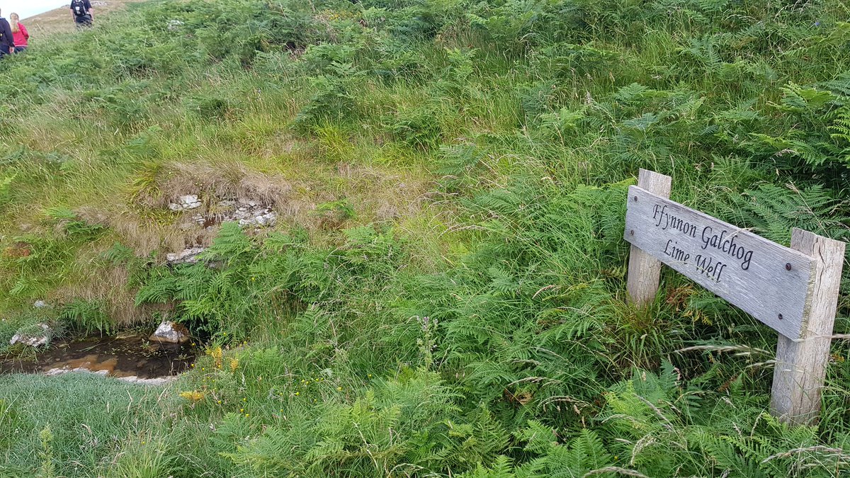 Good walk tonight  around marine drive then up to the washing floor, Lime Well and back into town