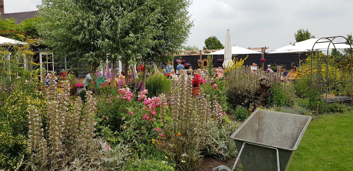 Tuinhappy's tweet photo. De Sfeerstal in Nieuwveen (ZH) - prachtige Open Tuin. Lees mijn nieuwste tuinblog over deze bijzondere tuin.
https://t.co/alC2E9xeCQ
#opentuin #tuininspiratie #tuin #tuinieren #tuinblogger #tuinhappy
@sfeerstal #nieuwveen @gemnieuwkoop https://t.co/rB38u6GfmB