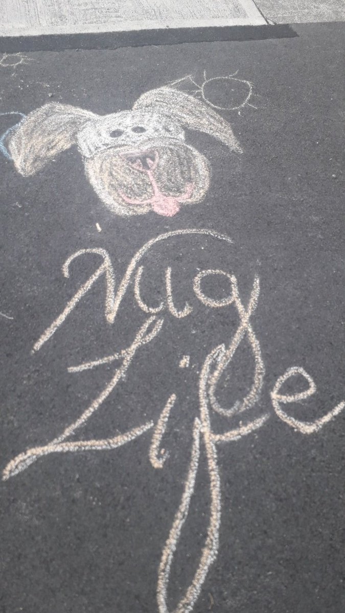 Mom drew a picture for me 😍🐶
I love it ❤🐶

#Nuglife