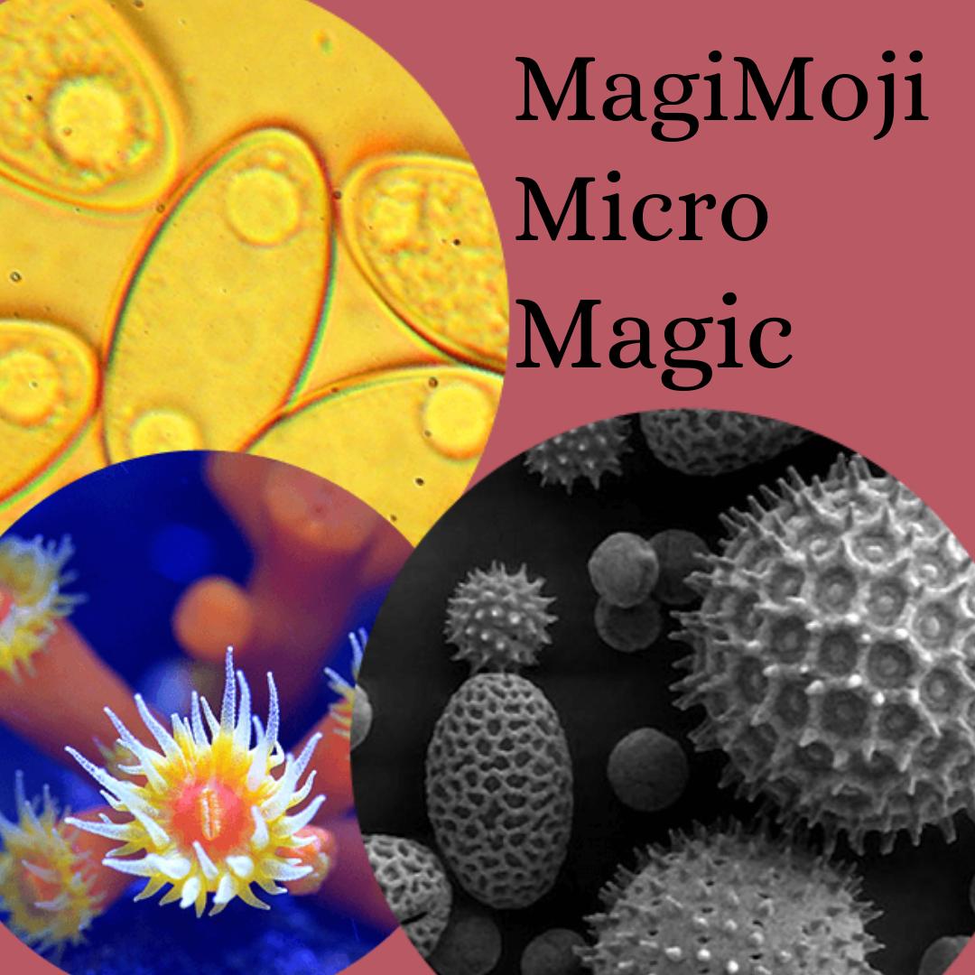 Beauty everywhere! Especially in the micro of our world. Send a #magimoji and send a smile. #love #awareness #emojisoftheworld #awaken #impressive