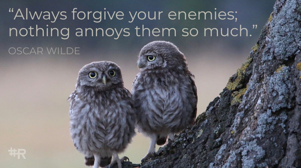 Dr. Anthony Rotolo tweet media