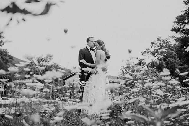 Sometimes, when Elle second shoots for me, she does some crazy stuff, like climb into a tree, or lay down in a patch of flowers. She says it's worth it for shots like this though. ift.tt/2YbefIm