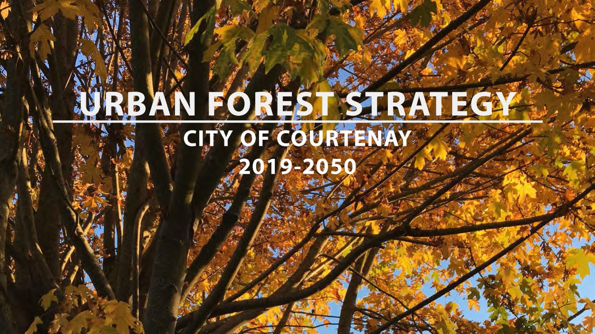 CityofCourtenay's tweet photo. For the first time in Courtenay’s history, an urban forest strategy is now in place to guide tree management across the City for years to come. Learn more:  https://t.co/fJEONWje2X https://t.co/4zgqE7dxNA