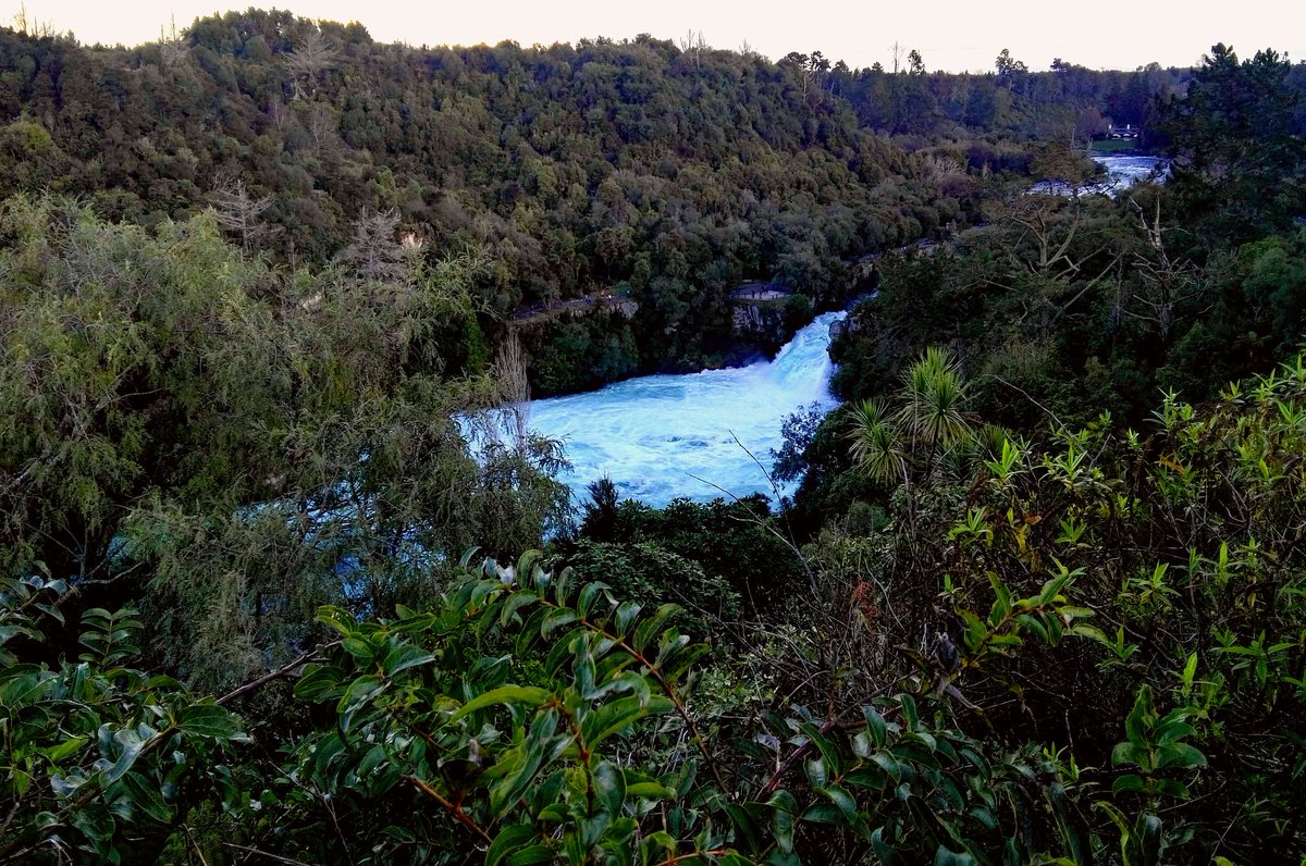 WorldFlorian's tweet photo. VII-15>17/07/19 Mission WOF (1/2) Camp established around the Waikato River, Taupo. https://t.co/LZNXNS5uKj
