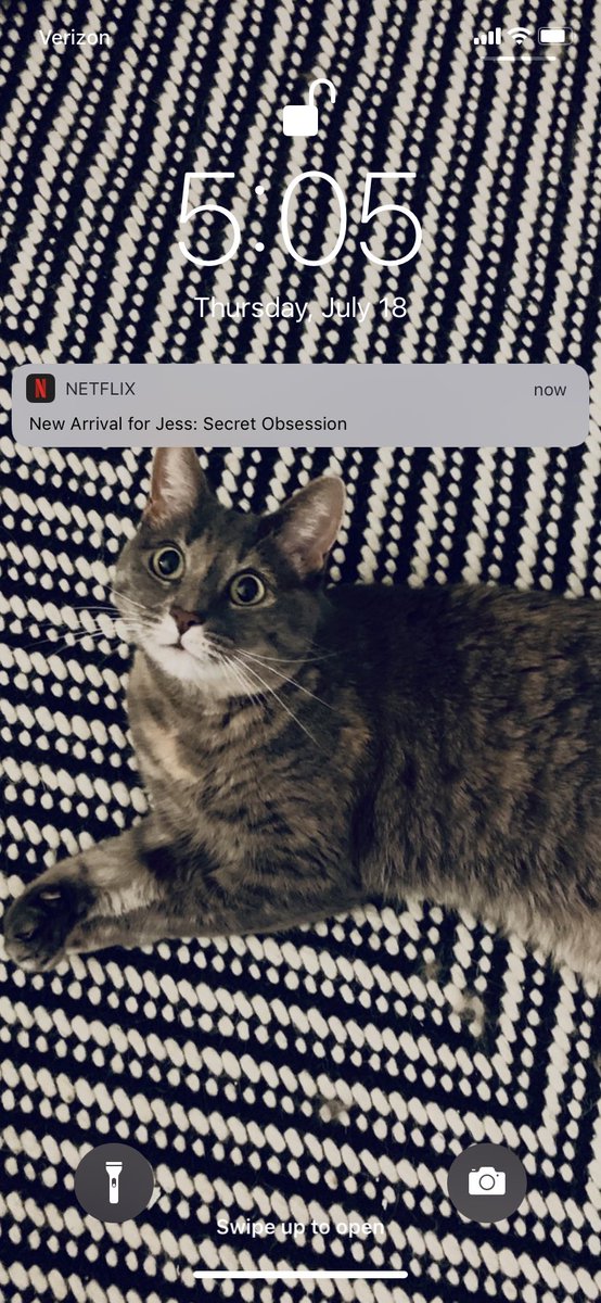 JESSICAhhbb's tweet photo. 1. Daisy is not a new arrival.                           2. My obsession with her is not a secret. https://t.co/pVMpbQ245j