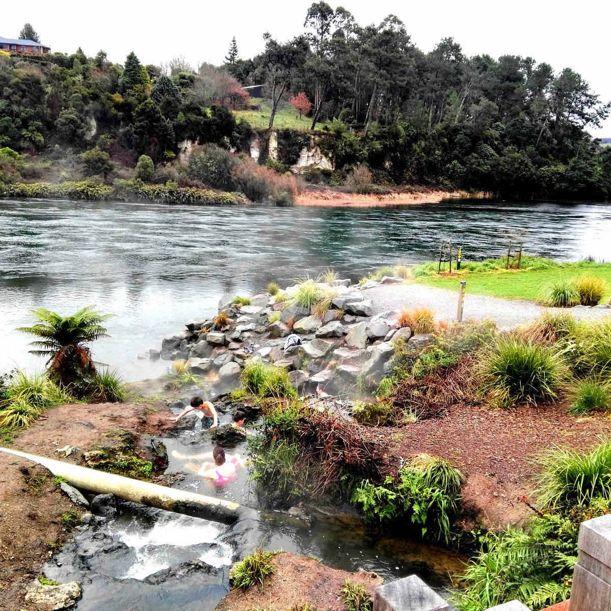 WorldFlorian's tweet photo. VII-15>17/07/19 Mission WOF (1/2) Camp established around the Waikato River, Taupo. https://t.co/LZNXNS5uKj