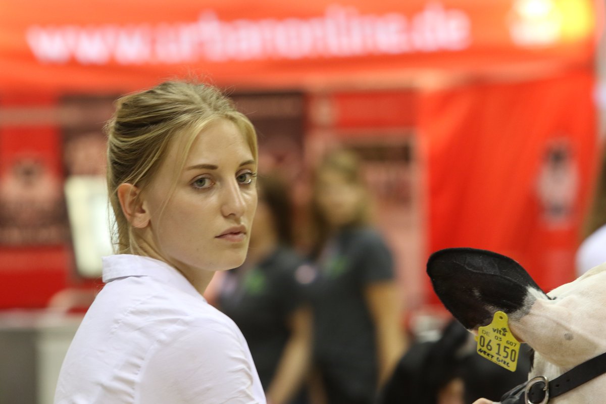 Dr. Uwe Scheper tweet media