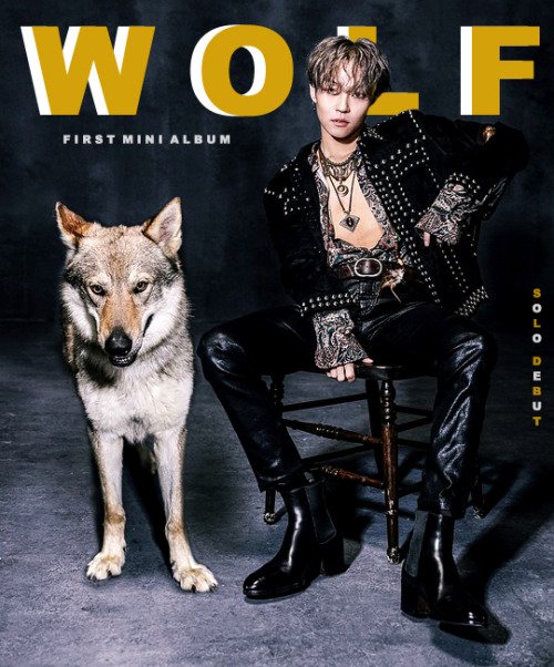 the rose ウソン WOLF THE ROSE ウソン WOLF The Rose Woosung - Wolf 