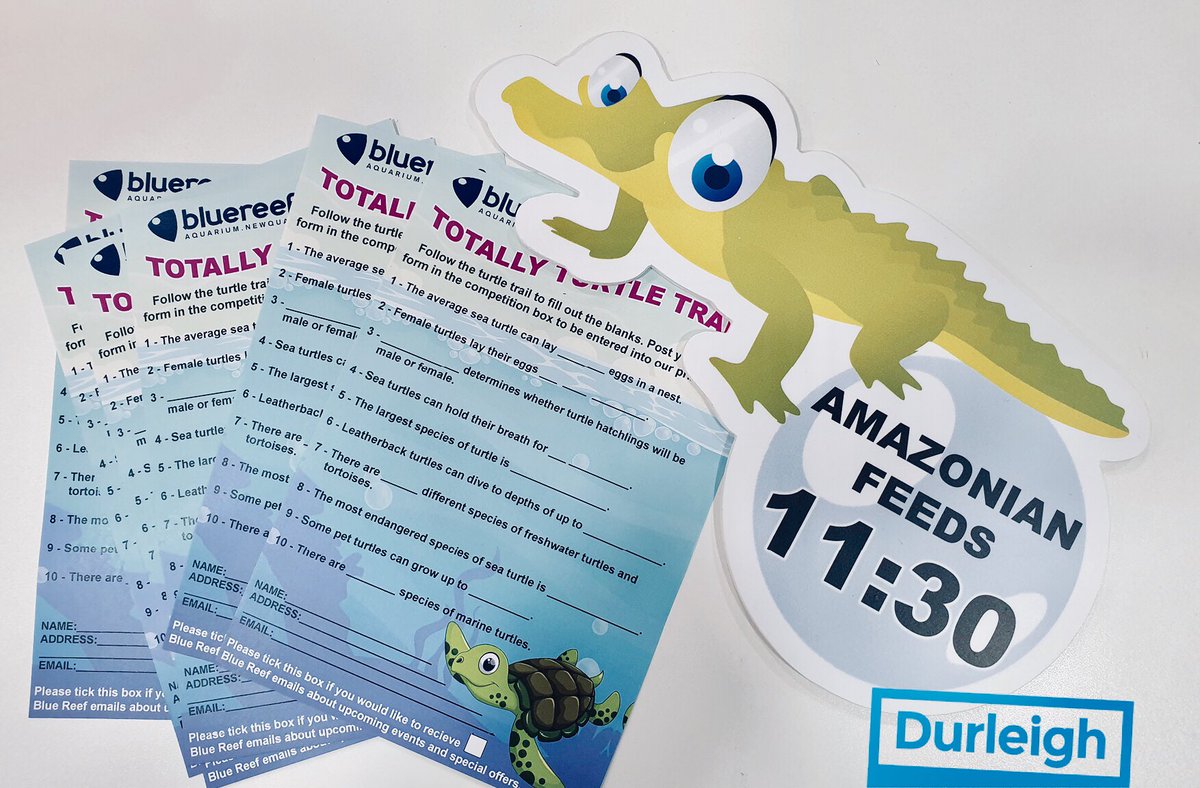 InfoDurleigh's tweet photo. #summerholidays are going to be so much fun... we’ve had fun getting the #signs and #displays ready for kids and adults adventures and learning.

⁦@durleighdisplay⁩ we create signs, graphics and displays to fit your specifications #Somerset https://t.co/4ISFRLtKsE