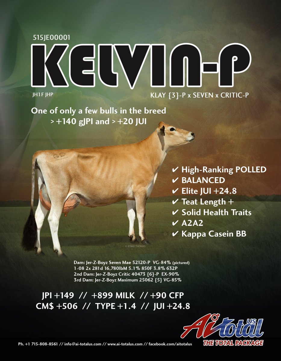 AI Total proudly introduces Introducing Kelvin P