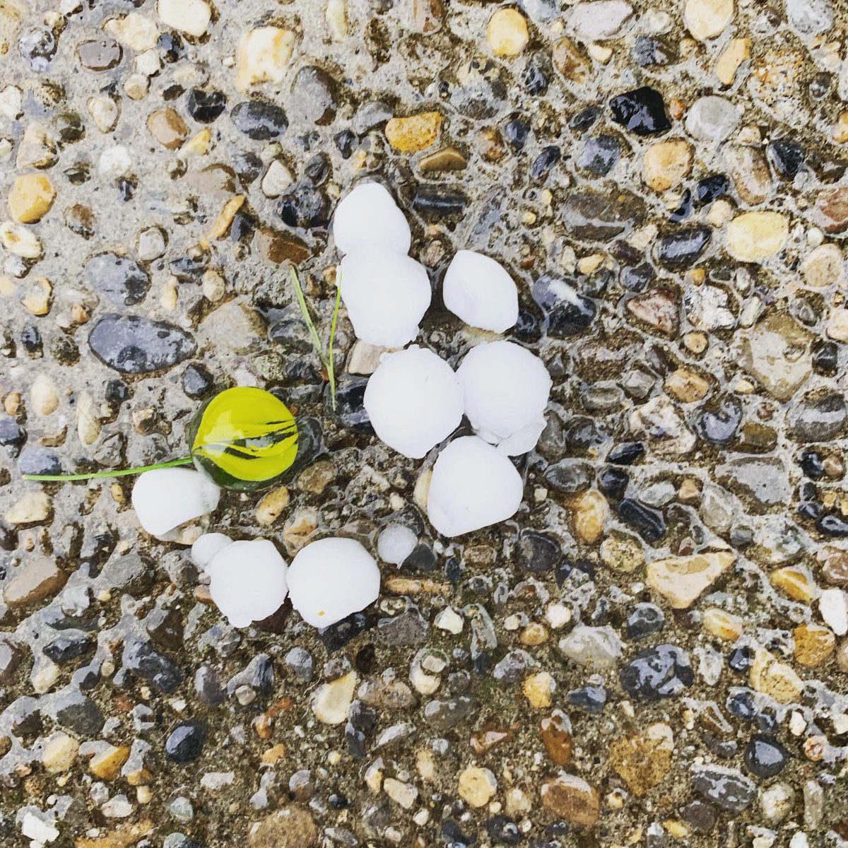 #yyc #abstorm #hail #douglasdale #haildamage #insurancequote @DentForceInc has you covered for ALL your hail damage needs. Call 1.855.457.DENT (4245) for fast professional service