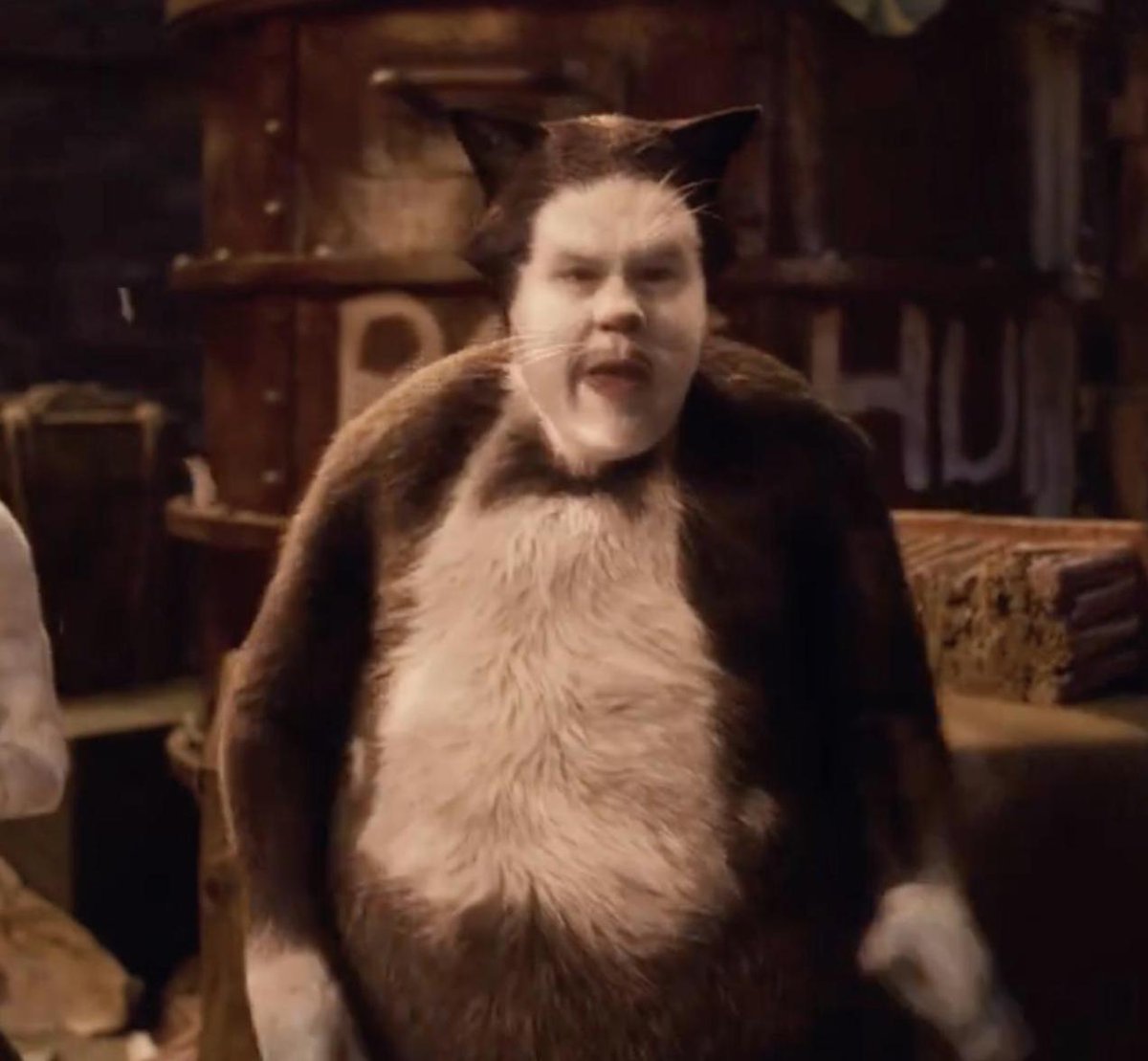 diveneficus's tweet photo. My therapist: James Corden cat isn't real and he can't hurt you

James Corden cat: https://t.co/T710Aya2nu