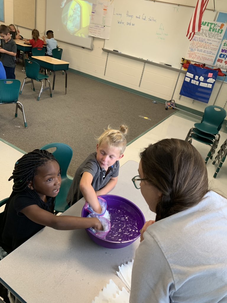 T_Ballard_Teach's tweet image. How can whales survive in super cold water? Blubber of course! #VCSsummer