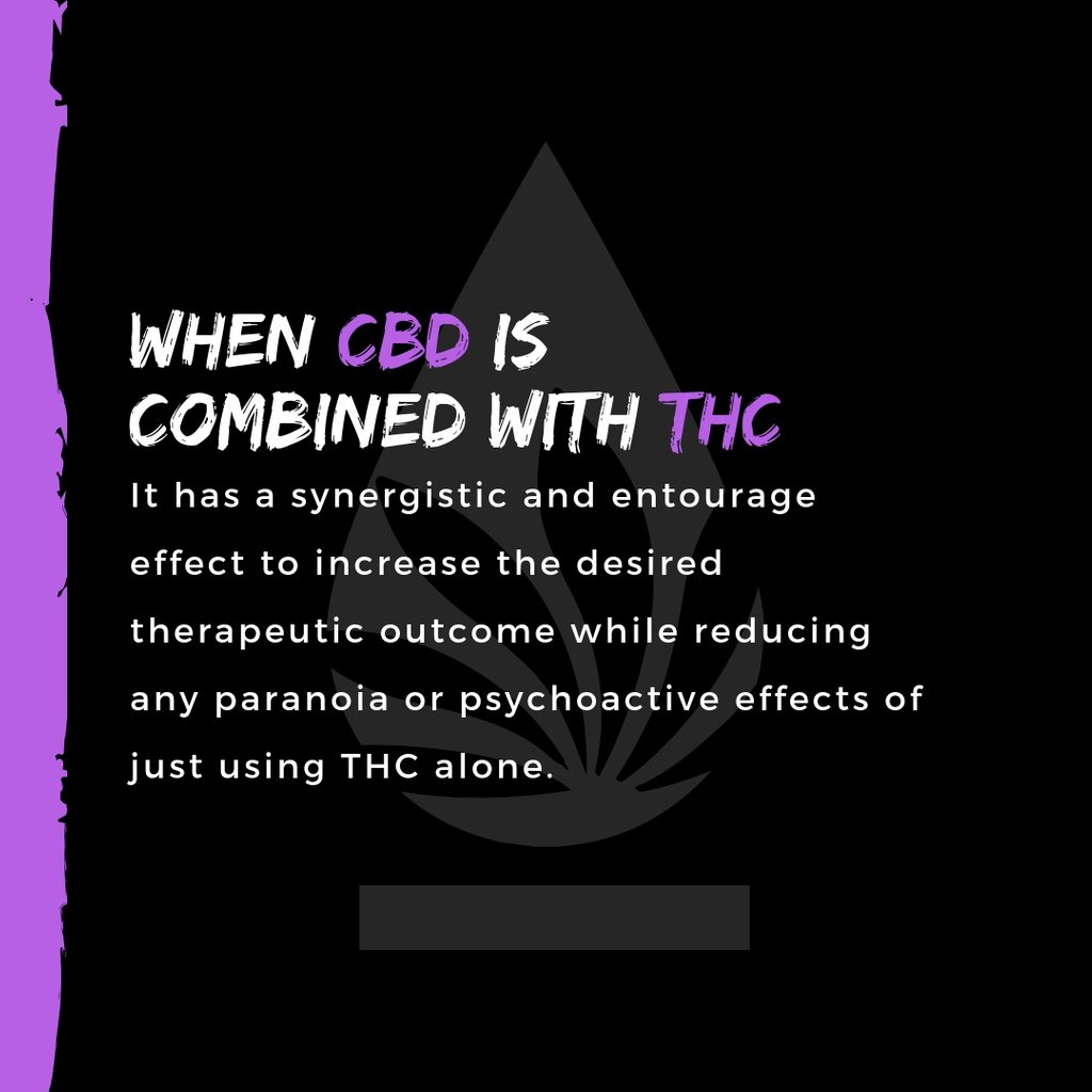 mycannafused's tweet photo. Time for a cannabis knowledge drop! 🤔

- Follow Us @MyCannaFused #CannaFused -

-For Use Only By Adults 21 Years of Age and Older-
-Keep Out of Reach of Children-
-Nothing for Sale-

#cannabis #marijuana #cbd #thc #cannabiseducation #didyouknow #entourageeffect https://t.co/5kL0TOhJrp